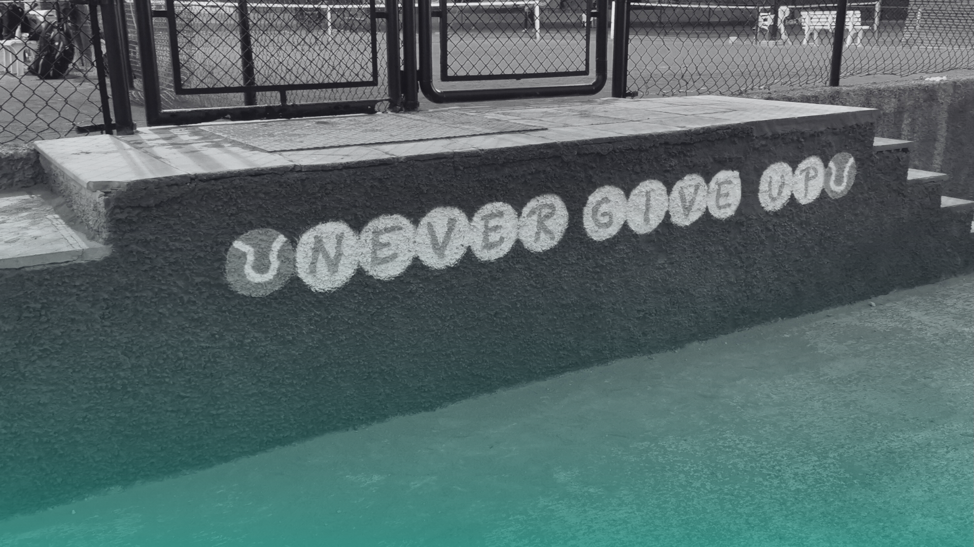 Follow the Action Live on Tournify!